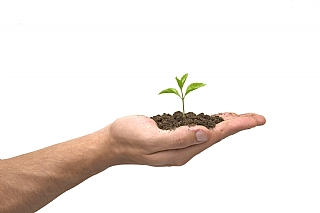 הוועידה לחיסכון והתייעלות אנרגטית