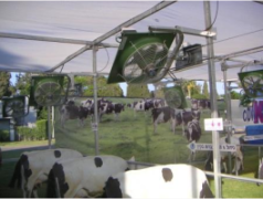 מערכת CowKool